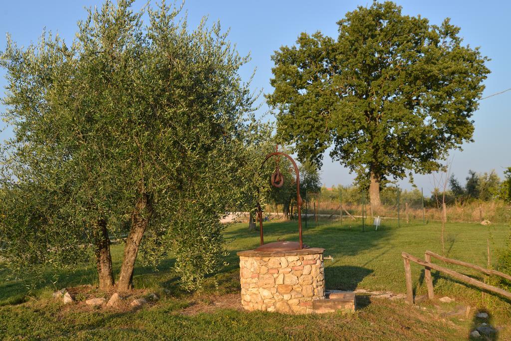 Agriturismo Podere Dell' Olmo Amelia Kültér fotó
