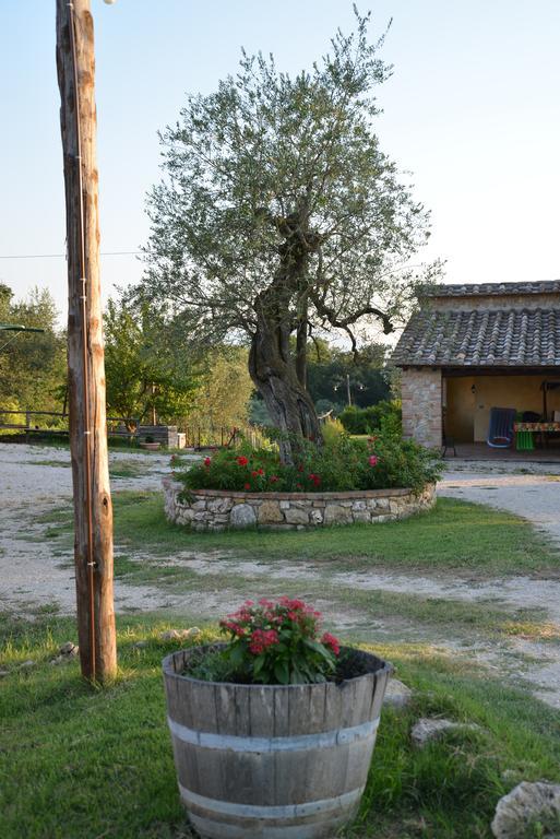Agriturismo Podere Dell' Olmo Amelia Kültér fotó