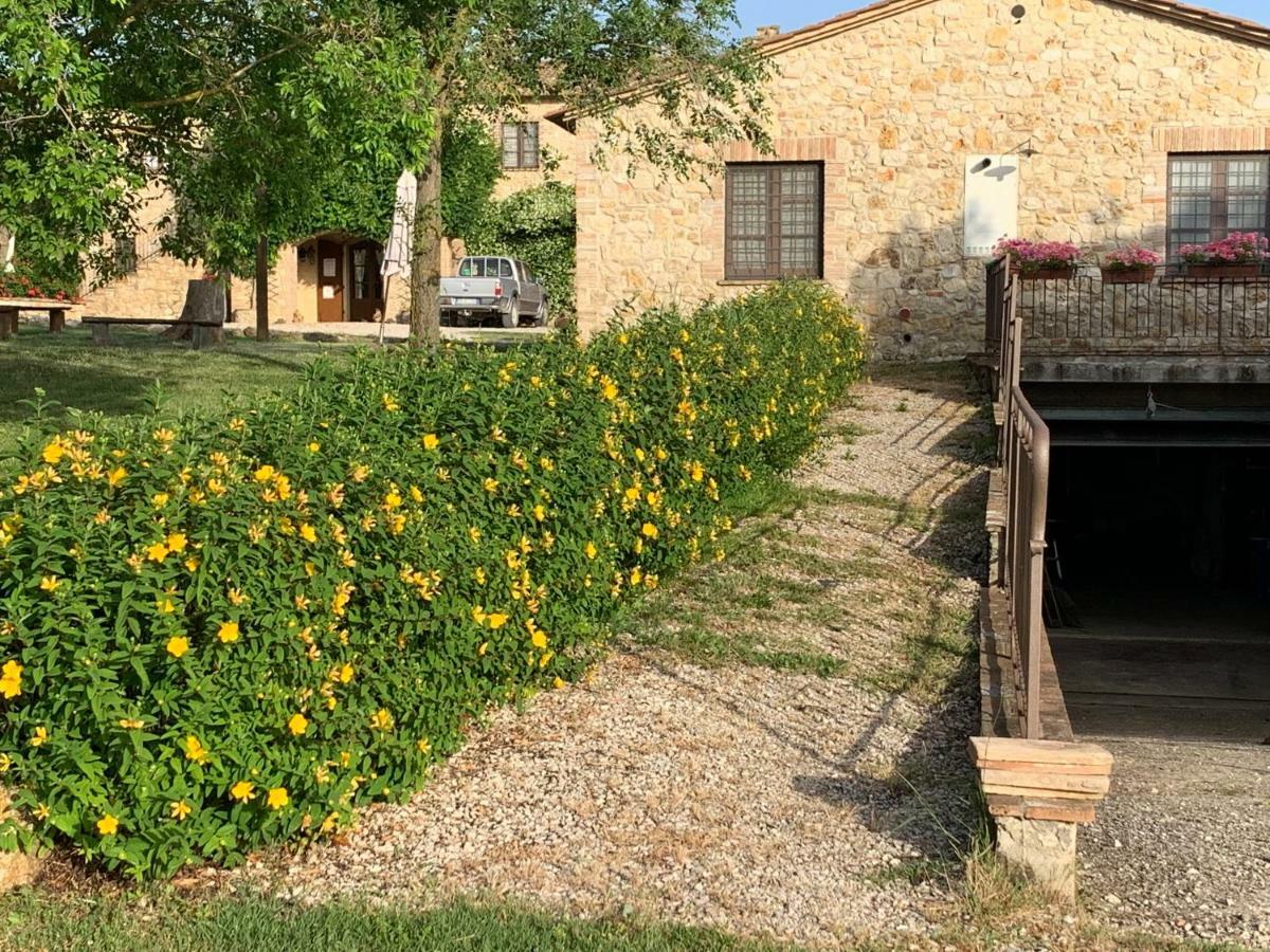 Agriturismo Podere Dell' Olmo Amelia Kültér fotó