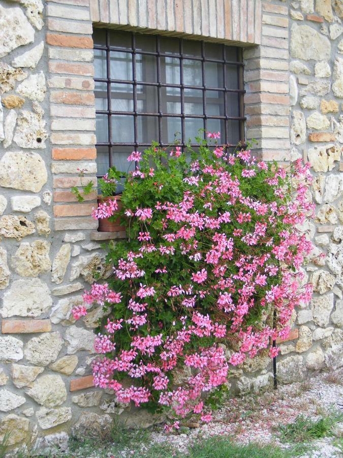 Agriturismo Podere Dell' Olmo Amelia Kültér fotó