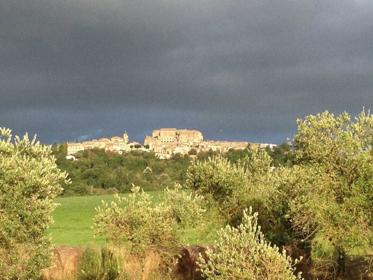 Agriturismo Podere Dell' Olmo Amelia Kültér fotó